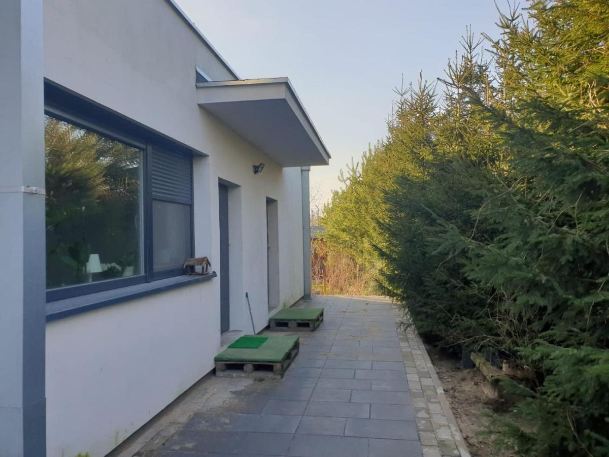 Maly Apartament W Zieleni Blisko Jeziora Sroda Wielkopolska Exterior photo